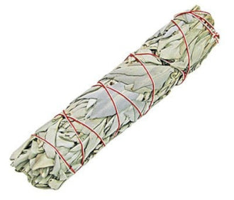 Smudge Stick - White Sage 22.5 cm