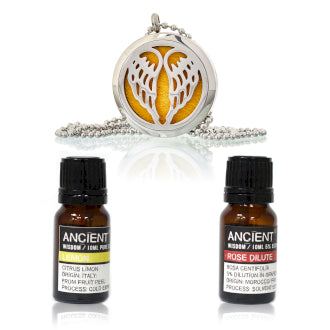 Diffuser Necklace and Essential Oils Set